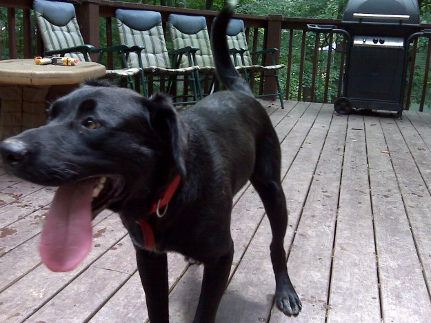 /Media Card/BlackBerry/pictures/IMG00131.jpg