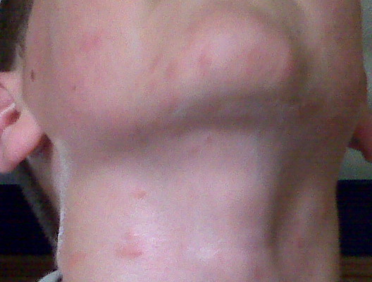 /Media Card/BlackBerry/pictures/IMG00184.jpg