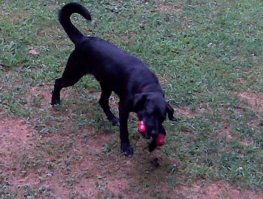 /Media Card/BlackBerry/pictures/IMG00111.jpg