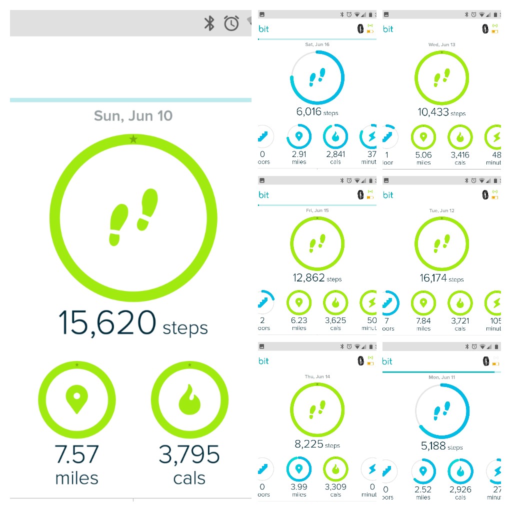 20180618_163943-COLLAGE (1)