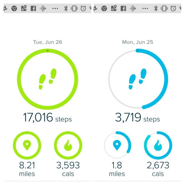 20180629_141221-COLLAGE